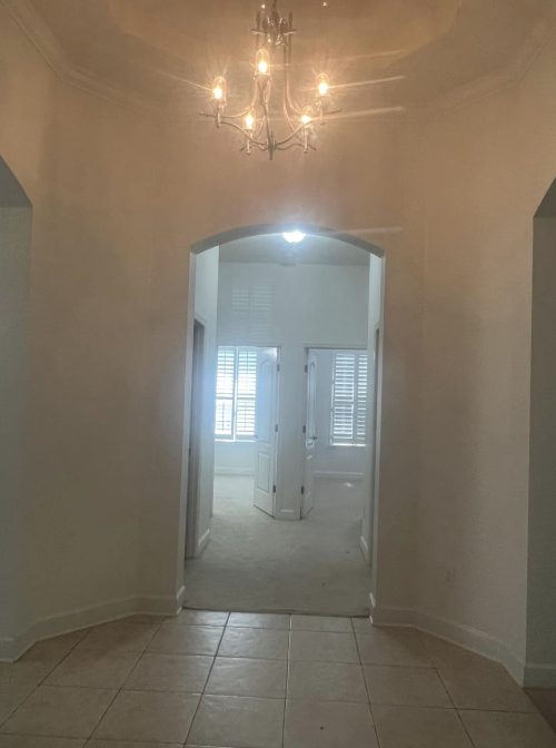 448495989_122157387452199196_7731140692528433636_n